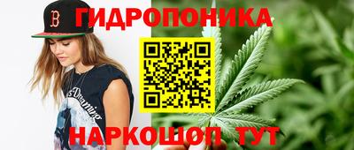 СК Нальчик