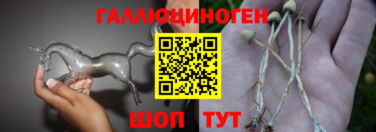 Петрозаводск  Галлюциногенные грибы мухоморы  Галлюциногенные грибы Magic Shrooms  Вход с VPN 